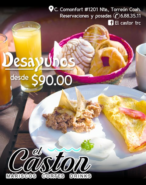 EL CASTOR