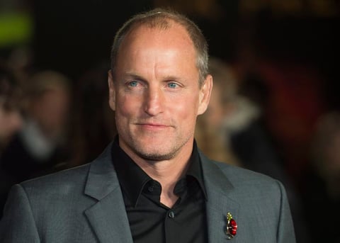 En la trilogía de Los juegos del hambre, Woody Harrelson ha dado vida al personaje Haymitch Abernathy.