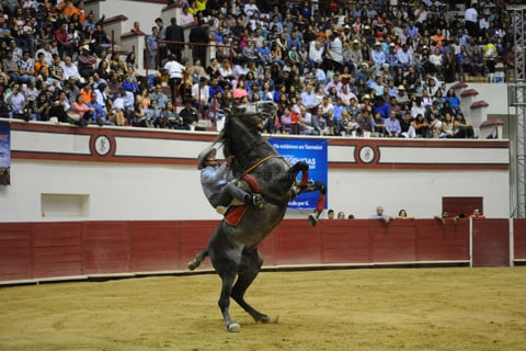 Los caballos asombraron a los laguneros que acudieron al show.
