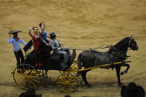 El show que presentan actualmente los Caballos Domecq, trata sobre un recorrido por las diferentes etapas de la historia de México en que los equinos han acompañado a los habitantes de este país.