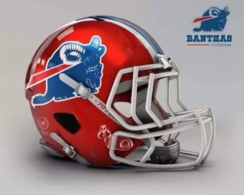 Los Bills de Búfalo.