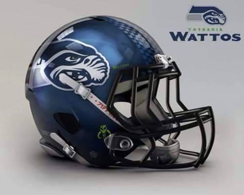 Los Halcones Marinos de Seattle.