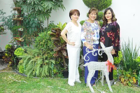10122015 Coco, Lety y Vanely.