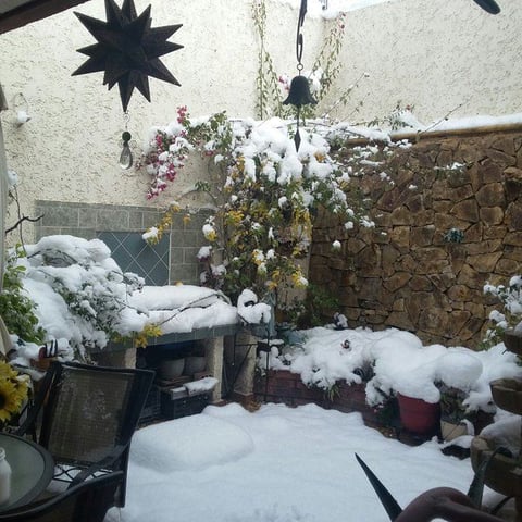 La nieve cayó debido a la quinta tormenta invernal.