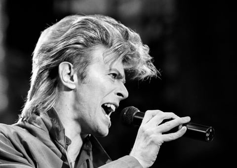 David Buckley, su biógrafo, describe el impacto que creó Bowie en la década de los 70 al señalar que "retó al núcleo de la música rock de la época" y "creó, posiblemente, el personaje más importante de la cultura popular", al referirse a Ziggy Stardust.