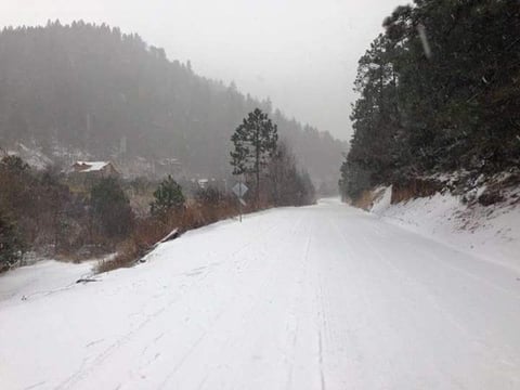 Impresionantes postales de la nieve circulan por las redes sociales.