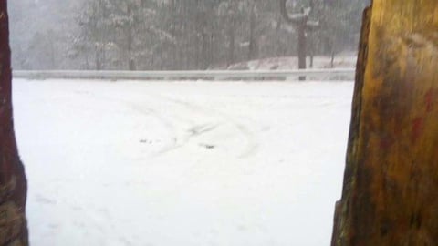 Usuarios de las redes sociales han compartido fotografías de la nieve en Arteaga.