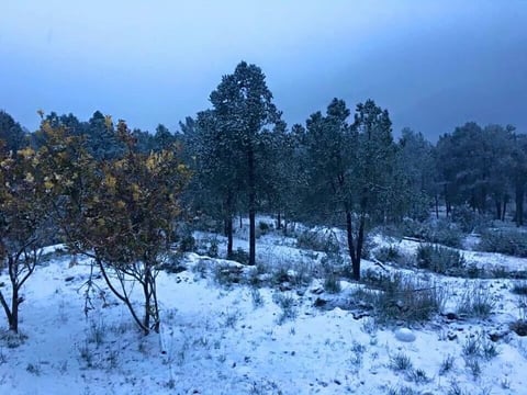 Prevalecerán las temperaturas en cero grados, así como las nevadas.