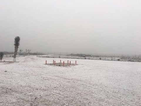 Sorprendentes postales de la nieve en Parras han sido compartidas en las redes sociales.