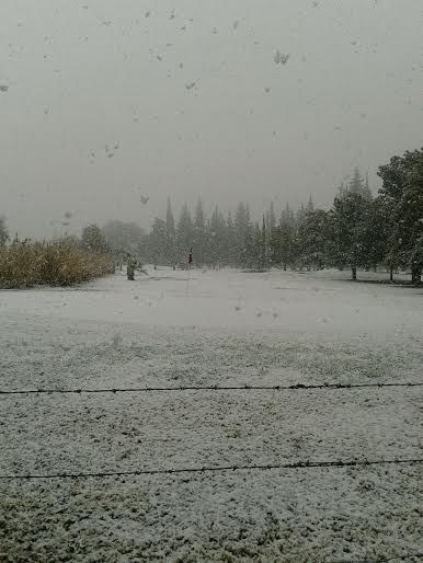 Algunos municipios de Coahuila se vieron afectados por la nevada.