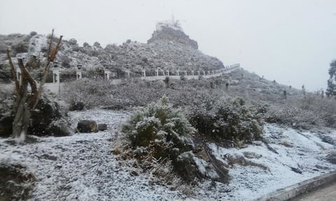 Los habitantes de Parras capturaron la nevada en bellas postales.
