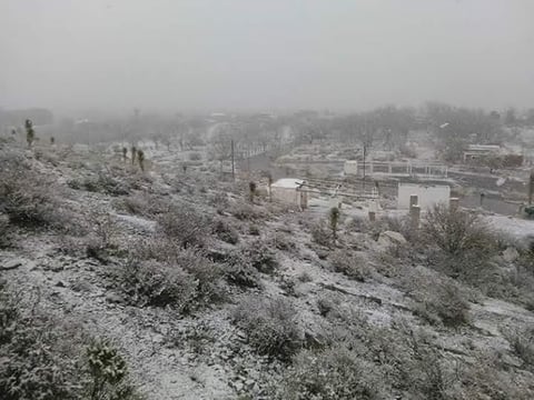 Un paisaje blanco se pudo apreciar en Parras.