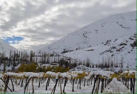 Parras despertó cubierto de nieve debido a la combinación de los fenómenos meteorológicos.