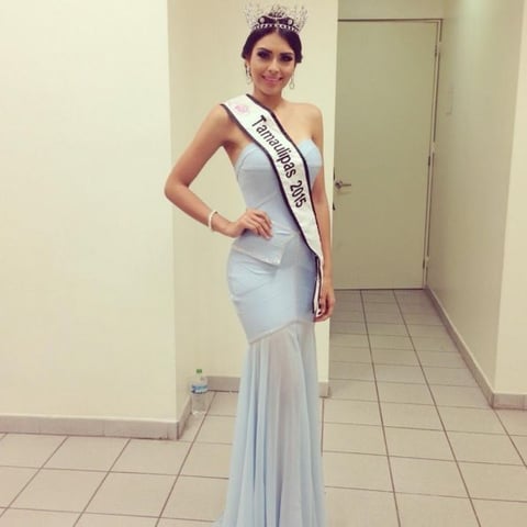 Cristal Silva se considera una mujer luchadora, que toda la vida ha ido en busca de sus objetivos, prueba de ello es que ya había intentado luchar por la corona de Nuestra Belleza México, quedando como suplente en el certamen en su natal Tamaulipas en 2013.