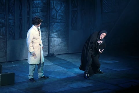 Ayudado por el jorobado "Igor" (Germán Ortega), la misteriosa ama de llaves llamada "Frau Blücher" (Anahí Allué) y su voluptuosa asistente de laboratorio "Inga" (Lisset), "Frederick" logrará crear a la bestial criatura, no sin antes someterse a tenebrosas y delirantes aventuras.