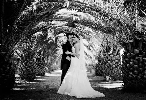 29052016 MarÃ­a Elizeth CastaÃ±eda MartÃ­nez y Jaime Alberto DÃ¡vila RodrÃ­guez.