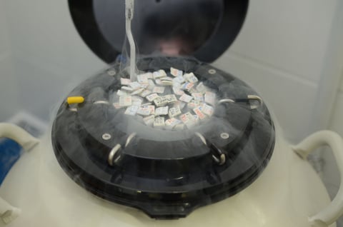 Su laboratorio cuenta con tecnología propia de IVB.
