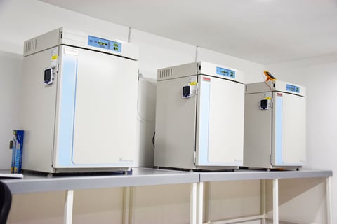 Desde su fundación en el 2002, la empresa trabaja para satisfacer la creciente demanda de servicios de fertilización in vitro.