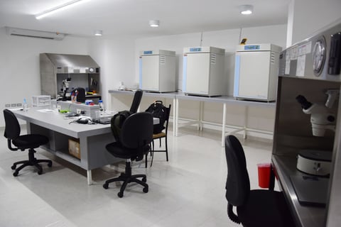Decidieron instalarse en la Comarca Lagunera tras un estudio de prospección.
