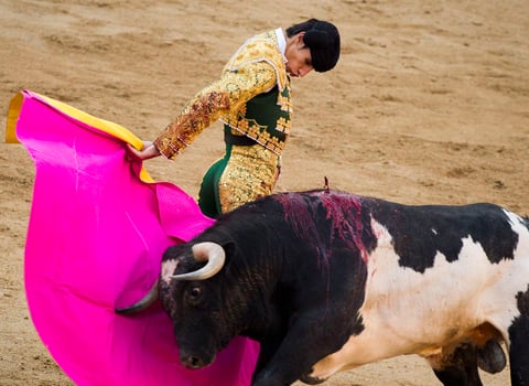 Este es el primer torero que fallece en una plaza española desde 1985, cuando el francés de 21 años José Cubero Yiyo sufrió una cornada fatal en Madrid.