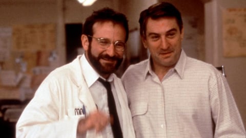 También compartió créditos con Robert De Niro en la cinta Despertares, en donde interpreta al doctor Malcolm Sayer.