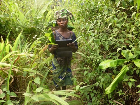 BERLÍN.- Fotografía facilitada por la ONU, que anunció hoy en Bonn las trece iniciativas ganadoras de los premios climáticos "Impulso para el Cambio", entre las que figuran un proyecto aplicado en Perú para luchar contra actividades ilegales en las zonas forestales (en la imagen) y una iniciativa de Google para expandir la energía solar en EEUU. "Mapeo a favor de los derechos" es una iniciativa que ayuda a los habitantes de zonas forestales a luchar contra actividades ilegales usando una plataforma en línea y mapas más precisos y que aboga por reformas legales en el continente africano y también en Perú. EFE