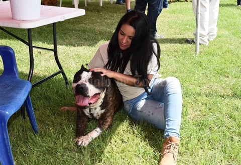 Decenas de perros de diferentes razas y un gran número de espectadores se dieron cita al AH Laguna Fest - ABKC.
