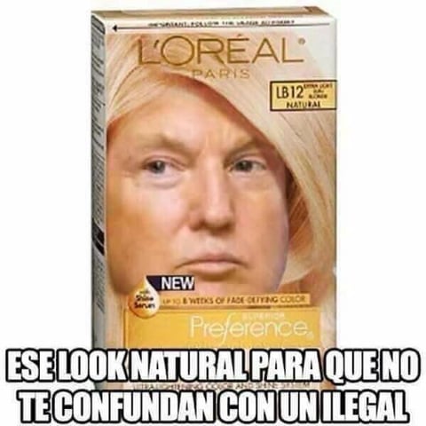 Tuiteros han tomado sus precauciones ante el triunfo de Trump.