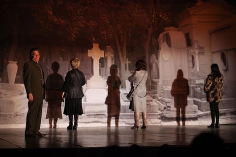 La obra relata la vida de tres mujeres viudas y amigas, a quienes las une el recuerdo de sus maridos y las visitas al panteón.