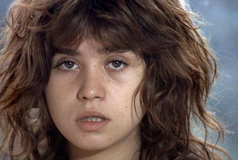 La actriz María Schneider, protagonista de “El último tango en París”, al parecer nunca se repuso de una escena de sexo con Marlon Brando, lo cual fue considerado como un ultraje.