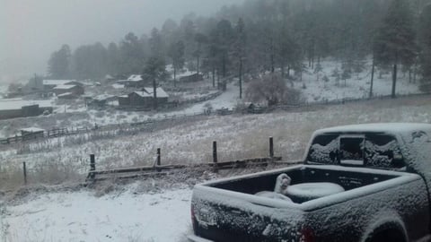 Para la noche y la madrugada del lunes se esperan heladas que irían de moderadas a fuertes en los valles y muy fuertes en la Sierra.