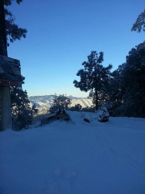 Nevada en Ciénega de Nuestra Señora de Guadalupe. (UEPC)