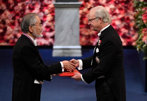 El de Medicina fue para el japonés Yoshinori Ohsumi por sus “descubrimientos en los mecanismos de autofagia”, que controla importantes funciones fisiológicas en las que los componentes celulares necesitan ser degradados y reciclados.