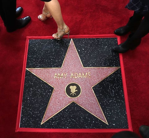 El paseo de la fama de Hollywood es una acera a lo largo de Hollywood Boulevard, en cuyo suelo están colocadas más de 2000 estrellas con los nombres de celebridades a las cuales la Cámara de comercio de Hollywood honra por su contribución a la industria del cine, televisión, teatro, música y radio.