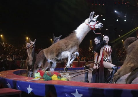 Las artistas Marek Jama actúan durante la ceremonia de la edición 41 del Festival Internacional de Circo de Monte-Carlo.