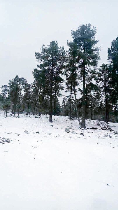 PC invitó a la ciudadanía a tomar precauciones ante las inclemencias del tiempo que ocasiona la séptima tormenta invernal en el estado de Durango. (JUAN PALMA)