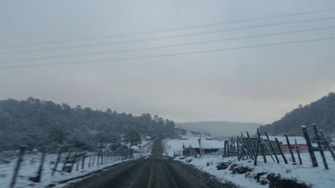 Protección Civil Canelas reporta caída de nieve en la zona sierra, desde Vascogil hasta Ojito de Camellones, son 7 municipios con nevadas.