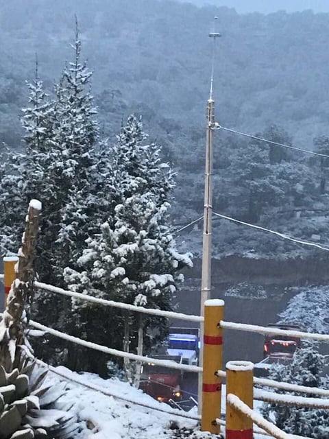 La nieve cubrió completamente la flora de Guanaceví.