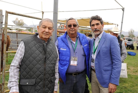 José Armando García Triana, Mario Valdés Berlanga y Francisco José García Treviño