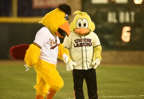 El "Pollo Layo" se sumó a las mascotas del Unión Laguna.