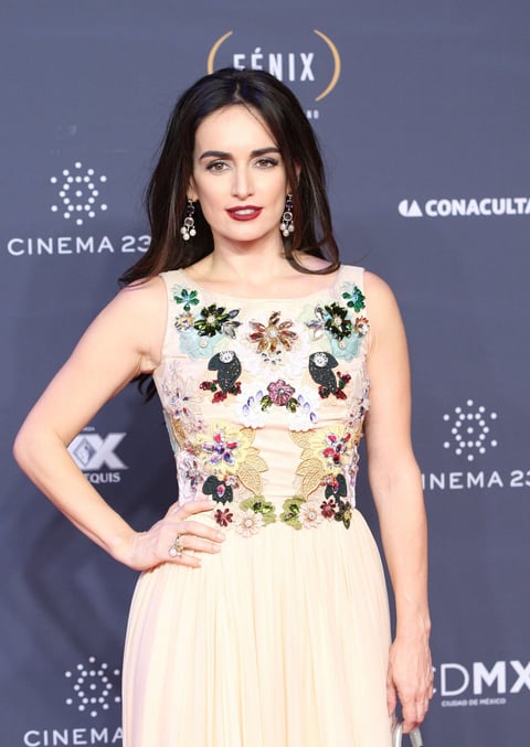 Otros de los éxitos de Ana de la Reguera son 'Ladies night' y 'Así del precipicio'; una de sus apariciones más recientes fue en la película 'Hidalgo', al lado de Demián Bichir.
