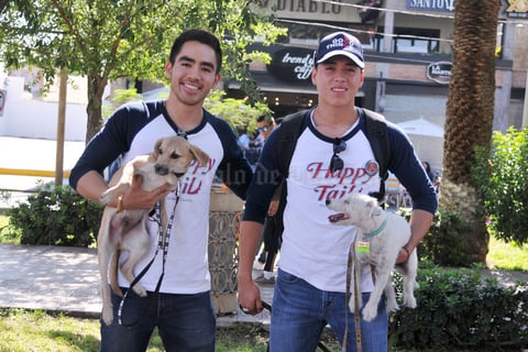 19042017 Emilio, Bryan y Daniel.