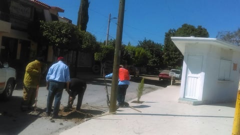 Hasta el momento aún se realizan las labores para cerciorarse de la seguridad del lugar.