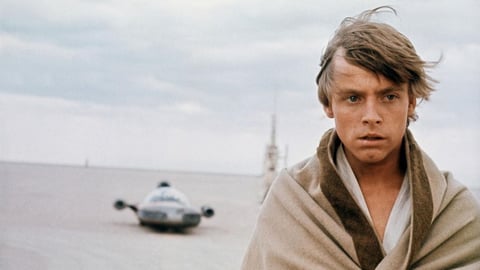 Mark Hamill animó a Lucas para introducir a un interés amoroso para Luke en El retorno del Jedi. Lucas se negó, pero finalmente Luke tuvo su mujer e hijos en las novelas del Universo Expandido.