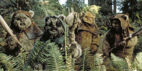 Todo el mundo sabe que aquellas pequeñas criaturas peludas se llaman Ewok, pero la palabra nunca ha sido mencionada en ninguna película de Star Wars.