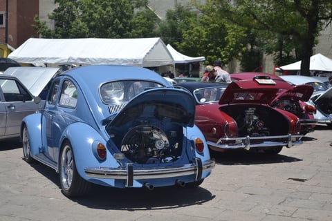 Un día lleno de amor y pasión se vivió en el 20 aniversario del Volks's Festival.