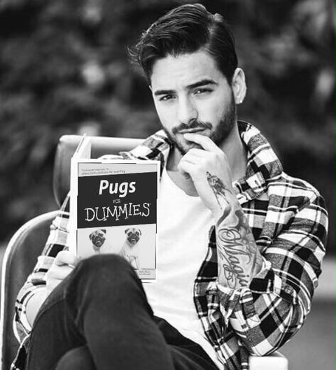 Con memes se burlan de Maluma
