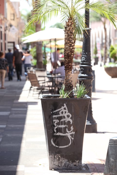 Vandalizadas lucen algunas estructuras y macetas en el centro.