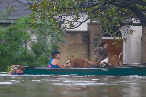 Los distritos escolares de Houston anunciaron hoy que suspenderán sus clases a lo largo de toda la semana.