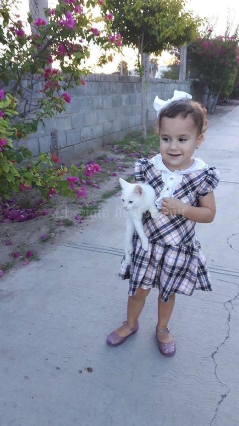31082017 CON SU GATITO.  Isabel Kamp.